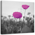 L&otilde;uenditr&uuml;kk Purple Poppies Field 30x30 lilla