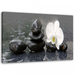 L&otilde;uenditr&uuml;kk Orchid Stone Zen Spa 60x40 valge/must