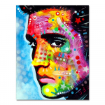 Seinakunst l&otilde;uendimaal Popkunst l&otilde;uendil Elutoa plakat Diivan Cuadros HD Print Akvarell Elvis Presley Che Guevara Vabadus 40x50cm No Frame