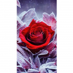 Teemantmaal J&auml;&auml;kristall Punane Roos Teemanttikandid Lilled Pilt kividest K&auml;sitsi valmistatud kunstmosaiigist seinakaunistus Full Round 60x120CM