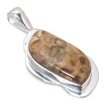 Fossil Coral Handmade 925 Sterling Silver Jewelry Pendant 2.29 z9w27