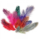 Plumes de pintade de couleur - 10 gr de plumes