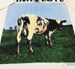 Vintage 1992 PINK FLOYD Atom Heart Mother Suurus L B&auml;ndi &Uuml;hekordse &otilde;mblusega s&auml;rk REPRINT M