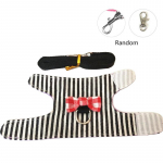 Lemmikloom V&auml;ike lemmikloom V&auml;ikeloom Orav Merisiga Hamstri rakmed Tuhkru rakmed ja jalutusrihm Lemmikrott XS must