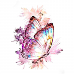 Full 30X40CM 5D Diy Teemantmaal V&auml;rv liblikas Tikand Ristpistes Kodukaunistus K&auml;sitsi valmistatud 1