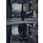 T&auml;is&uuml;mar/ruudukujuline 5D Teemantmaaling Peegeldus must kass Teemanttikandid Ristpistekomplektid Kodukaunistus K&auml;sitsi valmistatud kingitused Round 20x30cm