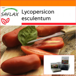 SAFLAX - Aed kotis - Tomat - San Marzano - 10 seemet - Substraadiga sobivas p&uuml;stijas kotis - Lycopersicon esculentum