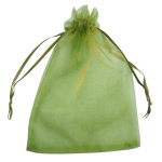 50 tk Viinamarjad Puuviljakaitse kotid Aia v&otilde;rgukotid P&otilde;llumajanduse viljapuuaia kahjurit&otilde;rje Linnuv&otilde;rkudevastased k&ouml;&ouml;giviljakotid 17*23cm roheline