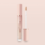 Banila Co Covericious Power Fit Concealer 5.5g 21Peach 21. Peach