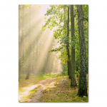 Kevadlilled Tulbid Sidrun Loodus Plakatid Prindid Džungel Hirv Jalgratas Seinakunst Pildid L&otilde;uendimaal P&otilde;hjamaade Kodu Toa Sisustus 21X30cm No Frame