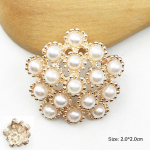 Strassid 10 tk/komplekt Sulamist Kristall DIY Ehtetarvikud N&ouml;&ouml;bid Populaarne Diamant Lill K&otilde;rge Kvaliteediga P&auml;rl 38