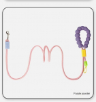 Pehme koerarihm 6 jalga jooksurihm p&ouml;&ouml;rleva lukustatava konksu ja mugava vahust k&auml;epidemega koerarihmaga suurtele v&auml;ikestele ja keskmistele koertele 1.85m roheline