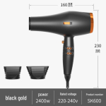 2400W Suure V&otilde;imsusega Euroopa Standardi F&ouml;&ouml;n Negatiivse Iooni Tehnoloogiaga Salongidele X6, European standard 220V must