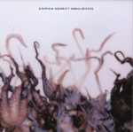 LP plaat STEPHIN MERRITT - Obscurities WIGLP282 Domino 2011 Euroopa Tants & Elektroonika