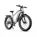 DUOTTS F26Lite Electric Bike 500W 48V 18AH 26x4.0 Inch Fat tires valge
