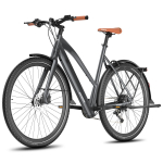 Elektriratas FAFREES 250W mootoriga 10AH Linnaelektriratas Maksimaalne s&otilde;iduulatus 100 km Kandev&otilde;ime 150 kg F700W No Accelerator hall/must