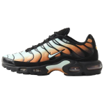 Nike Air Max Plus OG Premium Desert Monarch Unisex tossud Must Mitmev&auml;rviline IQ0168-900 39 black