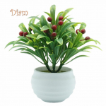 HOHO lillemarjaga potis istutatud bonsai elutoa aialaud, m&ouml;&ouml;bli sisustus roheline