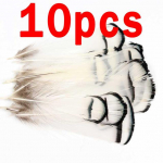 10tk Lady Amherst Feather Tippet Nymph Wet Streamer Wing Tag Saba k&auml;rbse sidumismaterjal L&otilde;he teraspea kalap&uuml;&uuml;gi k&auml;rbse sidumine valge