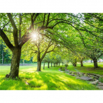 DIY t&auml;iskandiline/&uuml;mmargune teemantmaal 5D neli aastaaega puumets kevad suvi s&uuml;gis talv kodukaunistus kingitus ristpistes Full Round 20X30CM punane