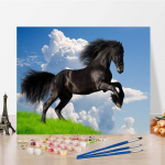 DIY maalimine numbrite j&auml;rgi Kodukaunistuse numbrid &Otilde;limaal K&auml;sitsi maalitud l&otilde;uend Digitaalne &otilde;limaal 40x50cm no frame