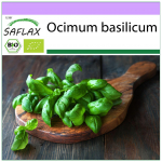 SAFLAX &ndash; Orgaaniline &ndash; Genovese basiilik &ndash; 800 seemet &ndash; Ocimum basilicum