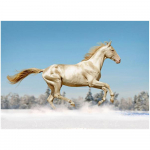 DIY 3D teemantmaaling Loomade hobuste tikandid Ristk&auml;sit&ouml;&ouml; Kodukaunistus Full Round 20x25CM