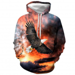 Meeste 3D-prindiga pullover, paaridele m&otilde;eldud kapuutsiga pikkade varrukatega naiste pusa M