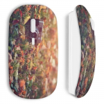 Juhtmeta hiire vanaaegne kaamera