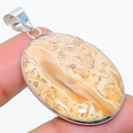 Natural Plume Root Jasper Gemstone 925 Sterling Silver Pendant 1.89 b9j02