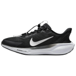 Nike Air Zoom Pegasus 41 EasyOn Must Fotonitol Valge Meeste Tennised Antratsiit FQ7837-002 40.5