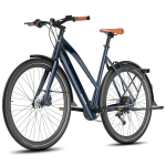 Elektriratas FAFREES 250W mootoriga 10AH Linnaelektriratas Maksimaalne s&otilde;iduulatus 100 km Kandev&otilde;ime 150 kg F700W No Accelerator sinine/must