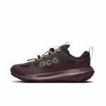 Nike ACG Mountain Fly 2 Low GORE-TEX Sametpruun Meeste Tossud HF6245-200 EU 40.5 pruun