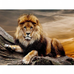 Loomad Teemantmaal V&auml;rvilised loomad Pilt Rhinestones Teemanttikandid 20X30CM