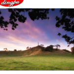 Teemantmaal Ristpistes Kassi kivipilt Teemanttikandid Loomad Kristallmaal Mosaiik Teemantkunst 20X30CM