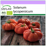 SAFLAX &ndash; Orgaaniline &ndash; Tomat &ndash; Rouge de Marmande &ndash; 10 seemet &ndash; Solanum lycopersicum
