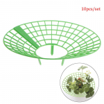 10 tk maasikaaluse raam puuviljade tugitaime lilledega ronimisviinapuu sammas 10PCS