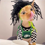 Moodne punk Lemmiklooma koeram&uuml;ts Naljakas r&auml;pp-rokk kudumispall Talvine soojad villased lemmikloomam&uuml;tsid v&auml;ikestele kassidele Sfinksid Lemmikloomatarvikud Tooted S