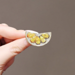 Suvine kokkupuutevastane pross: Moodne ja luksuslik kaelarihm naistele.