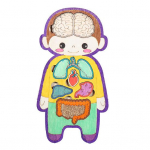 Inimese Siseorganite Puslem&auml;ng Hariv Inimese Keha Struktuur Anatoomia Puslelaud Lapsed V&auml;ikelapsed Puidust Kehaosade Sobitamine &Otilde;ppimine STEM M&auml;nguasi Sets