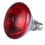E27 Infrapuna Kuumutuslamp Kanadele 220V 250 Vatti Punane Kuumutuslamp Pirn Kuumutusvalgusti Tibude Kasvatusboksi Kanala Lemmiklooma Roomaja Linnud punane