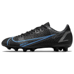 Nike Mercurial Vapor 14 Academy HG Jalgpallijalatsid Meeste toss Must Sinine CV0970-004 41