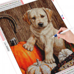 Teemanttikandid ristpistes koer 5d teemantmaal Halloweeni mosaiik pilt kivist seinakunstist Full Round 20X30CM