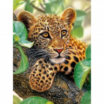 5D DIY Teemantmaaling Leopard T&auml;is&uuml;mmargune Teemanttikandid Loomad Ristpistes Rhinestones Mosaiik Kodukaunistus Full Round 20x30CM