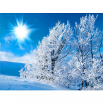 Teemantmaal Uus maastik Teemanttikandid Ristpistes Talvine kivide mosaiikdekoor koduks Full Round 20x30CM