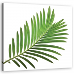 L&otilde;uenditr&uuml;kk Green Foliage Nature 30x30 roheline