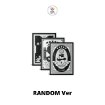 Stray Kids 5-STAR Standard VER Random Normal