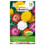Helichrysum aiasegu, 1g lilleseemneid aeda