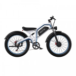 DUOTTS N26 Eleectric Bicycle 2*750W Motors, 48V 20AH Battery, 100 KM Range, 55 km/h Speed, Oil Brakes E-Bike 48V 20Ah