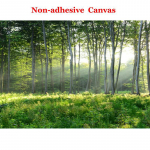 Kohandatud fototapeet 3D Roheline Mets Loodusmaastik Suured Seinamaalid Elutuba Diivan Magamistuba Moodne Seinakujundus Kodu Dekoor 300cm (W) x 200cm (H)